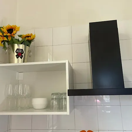 Bright With Attic Bolonya